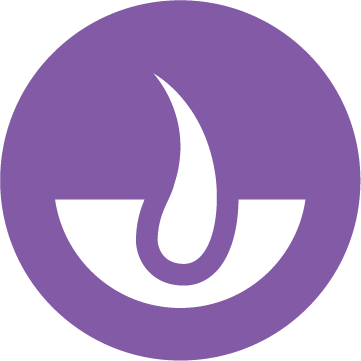 Icon Gehirn- und Augenentwicklung