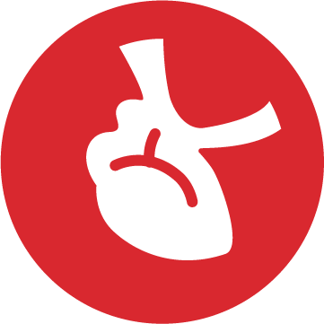 Icon Harnwegsgesundheit