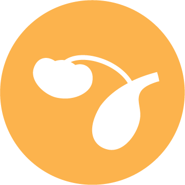 Icon Knochen- und Gelenkunterstützung