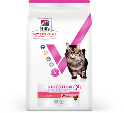 Hill’s Vet Essentials Dental Health Katzennahrung