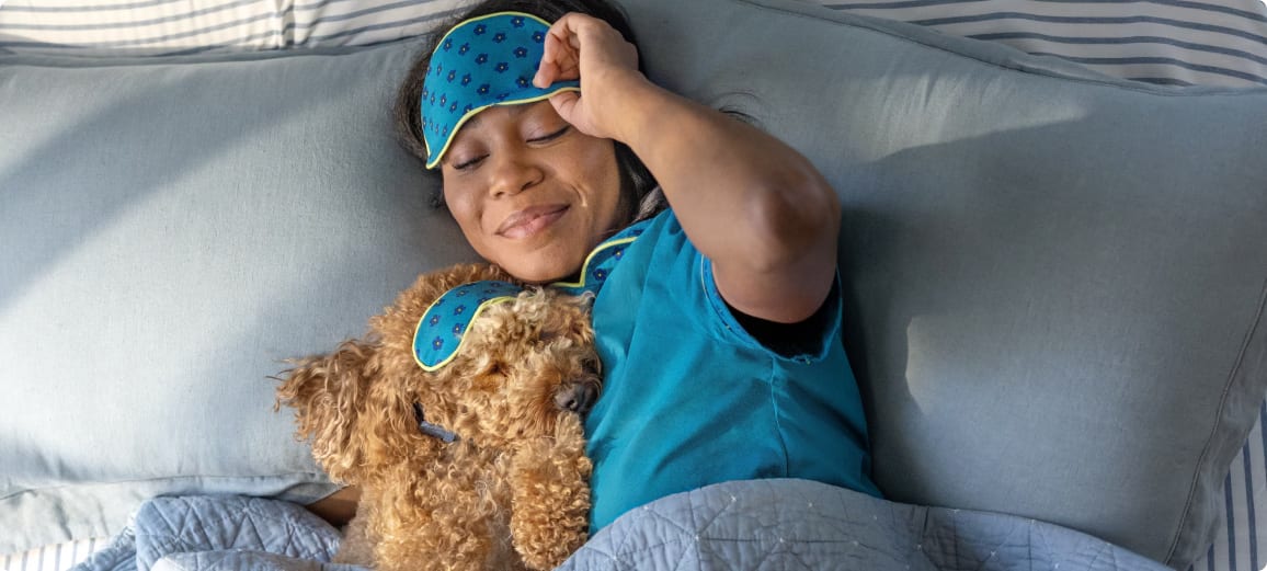 Hund mit Mensch im Bett liegend